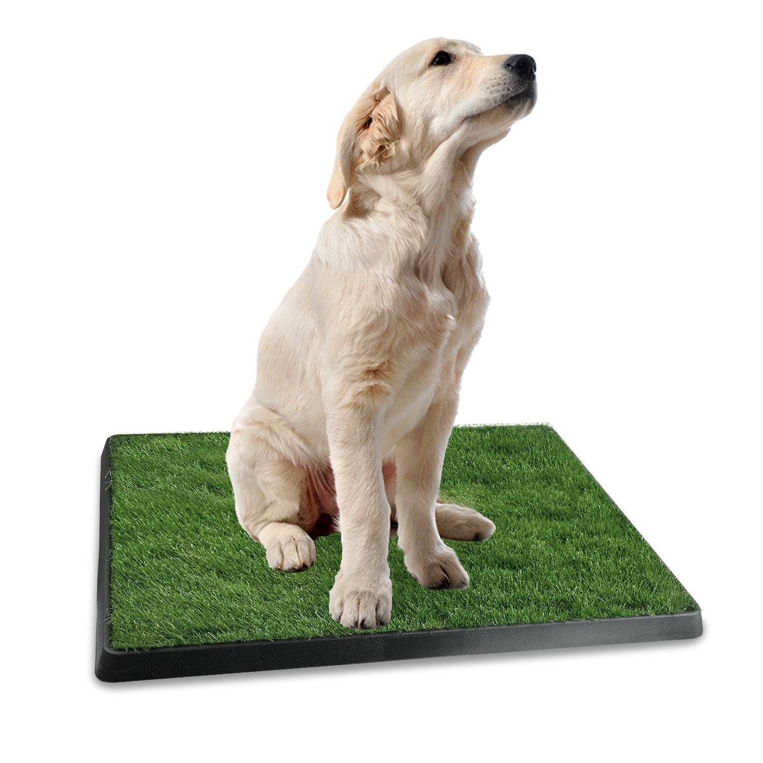 Dog Pad Grass Potty Training Mat Indoor