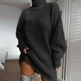 Womens Turtleneck Long Knit Sweater Dress Winter Warm