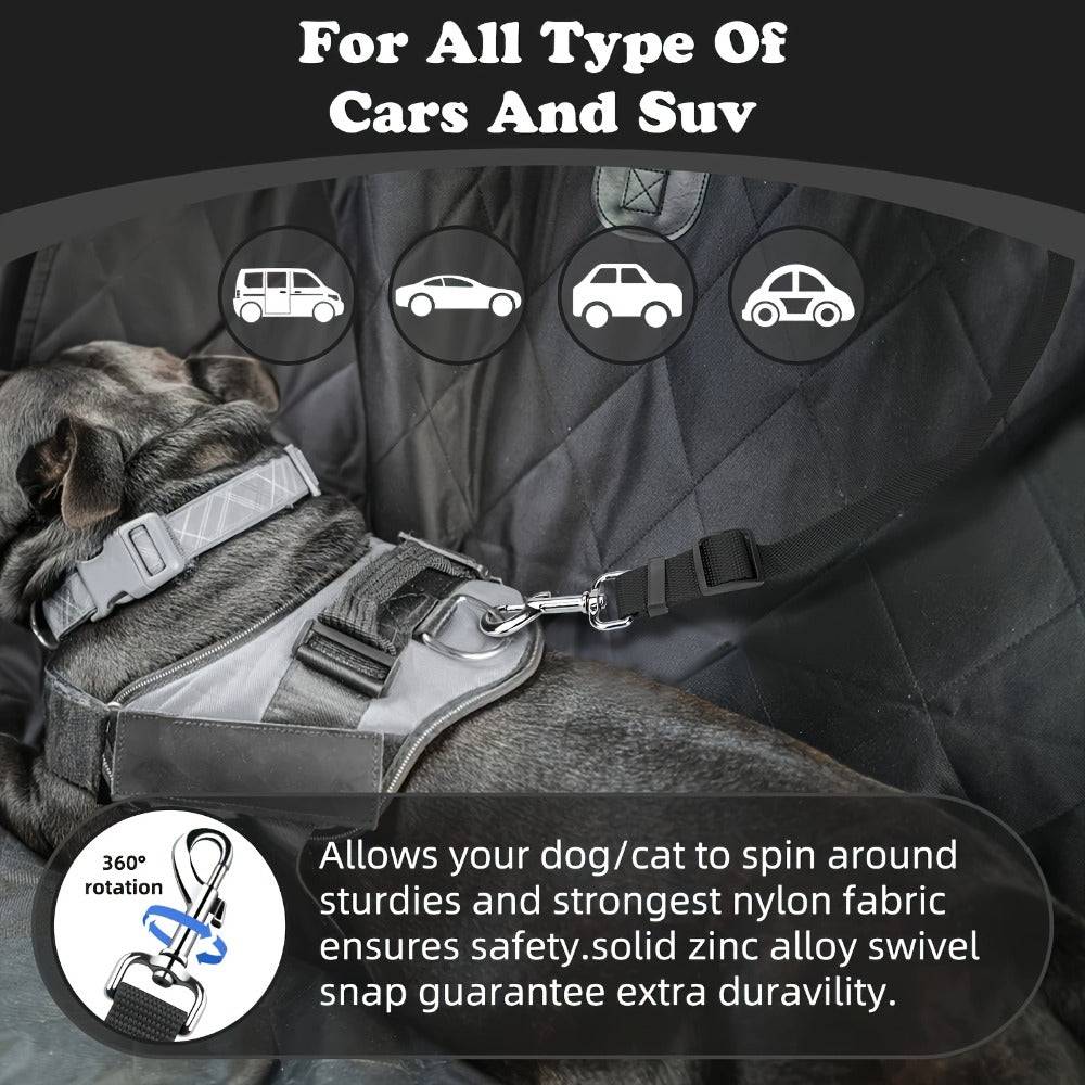 2 Piece Dog Leash Set For Training