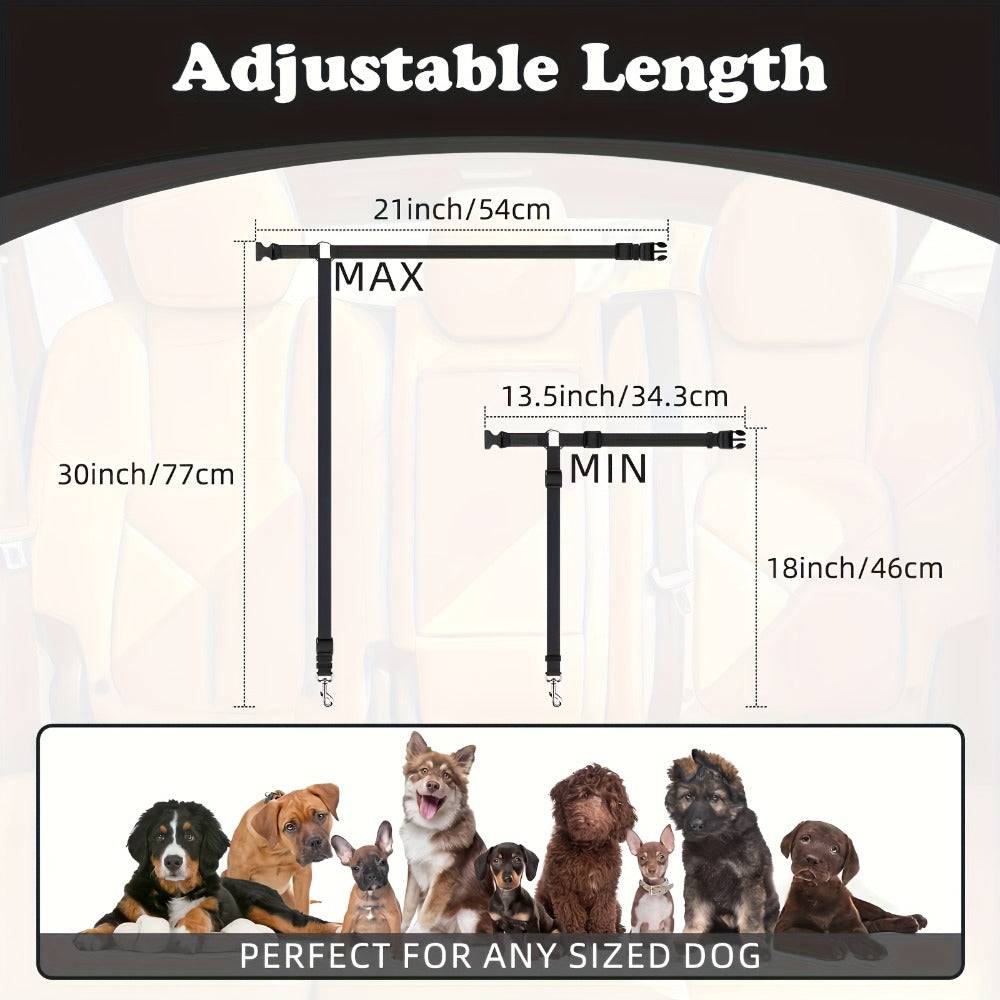 2 Piece Dog Leash Set For Training