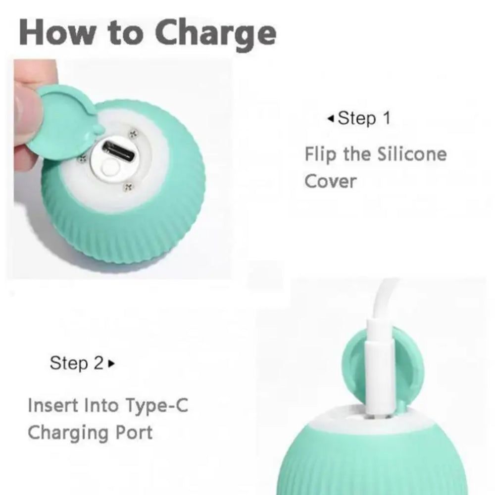 Interactive Electric Cat and Dog Toy Rolling Ball