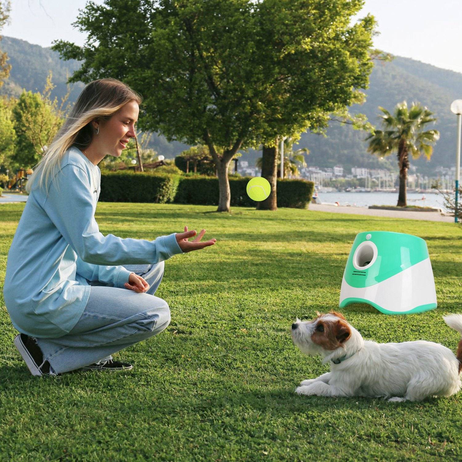 Automatic Dog Ball Launcher with 6 Balls