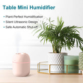 Mini USB Humidifier 220ml For Travel