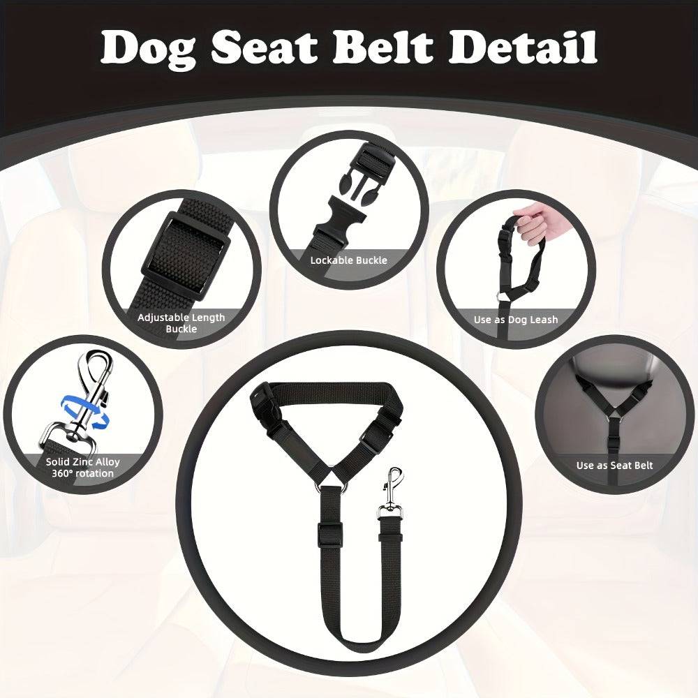 2 Piece Dog Leash Set For Training