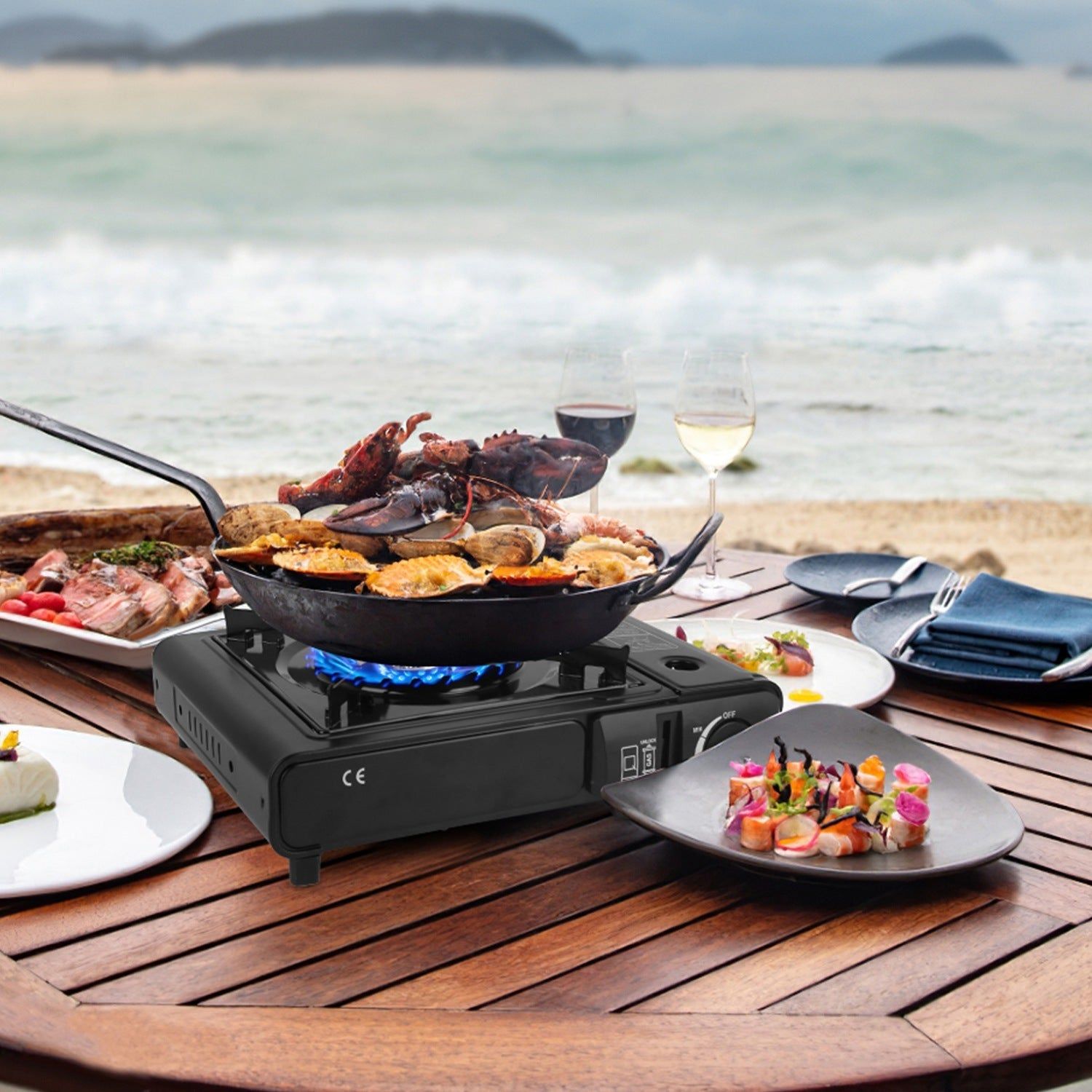 3300W Dual Fuel Portable Gas Stove with Carry Case