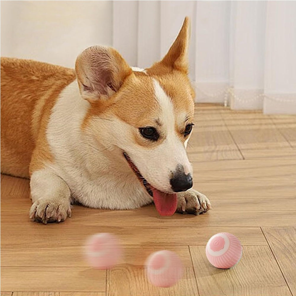 Interactive Electric Cat and Dog Toy Rolling Ball