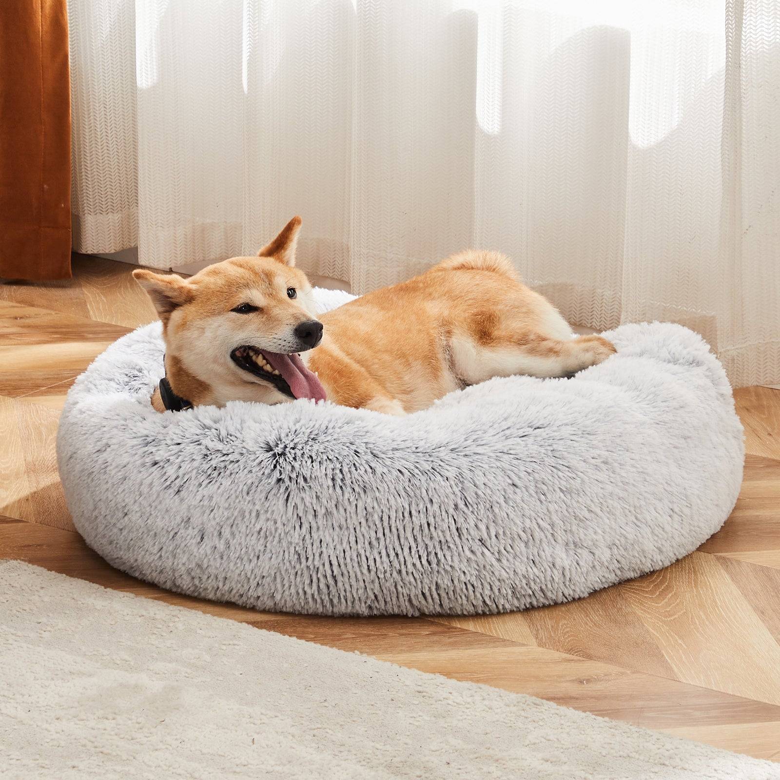 Washable Plush Dog Bed With Non Slip Bottom For All Sizes