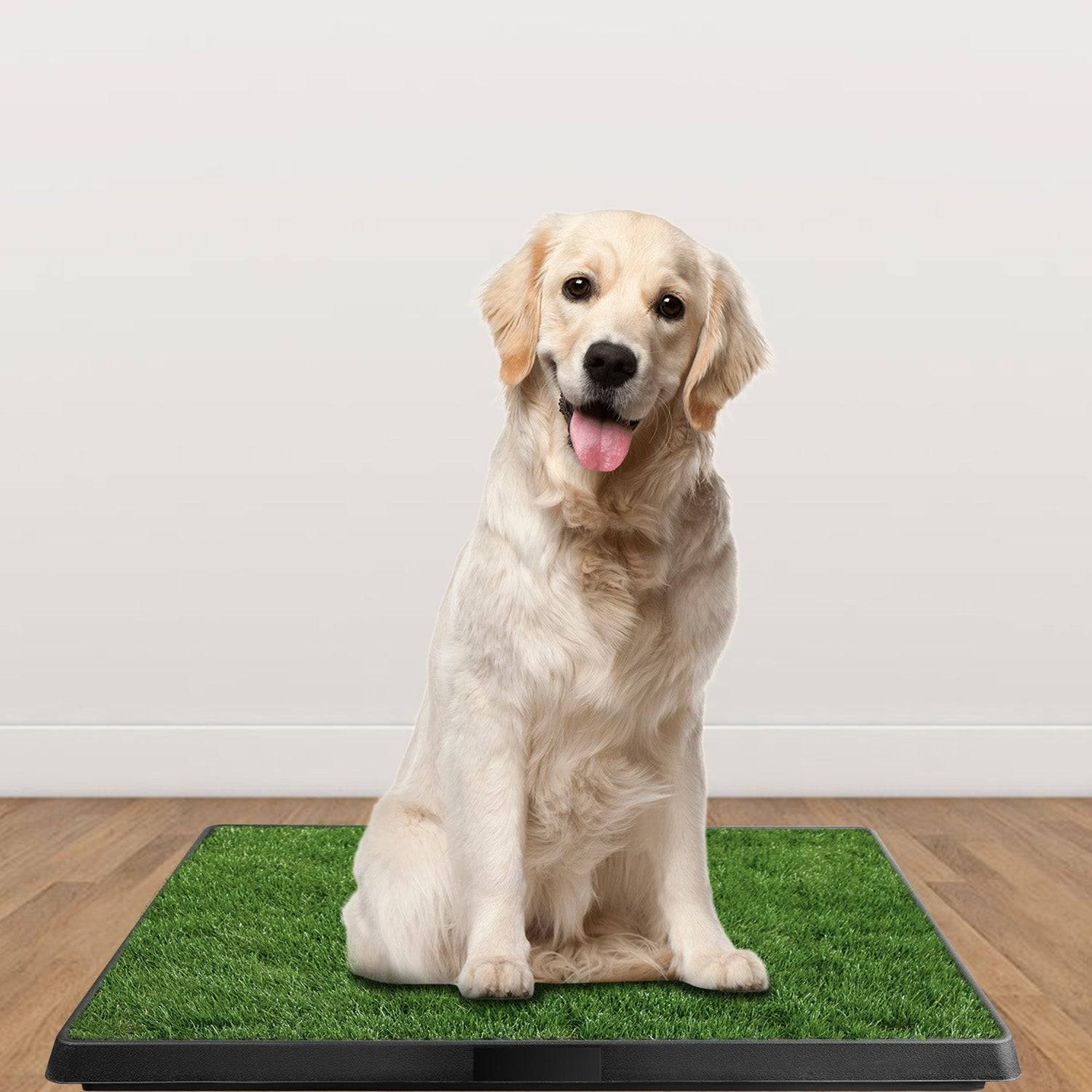 Dog Pad Grass Potty Training Mat Indoor