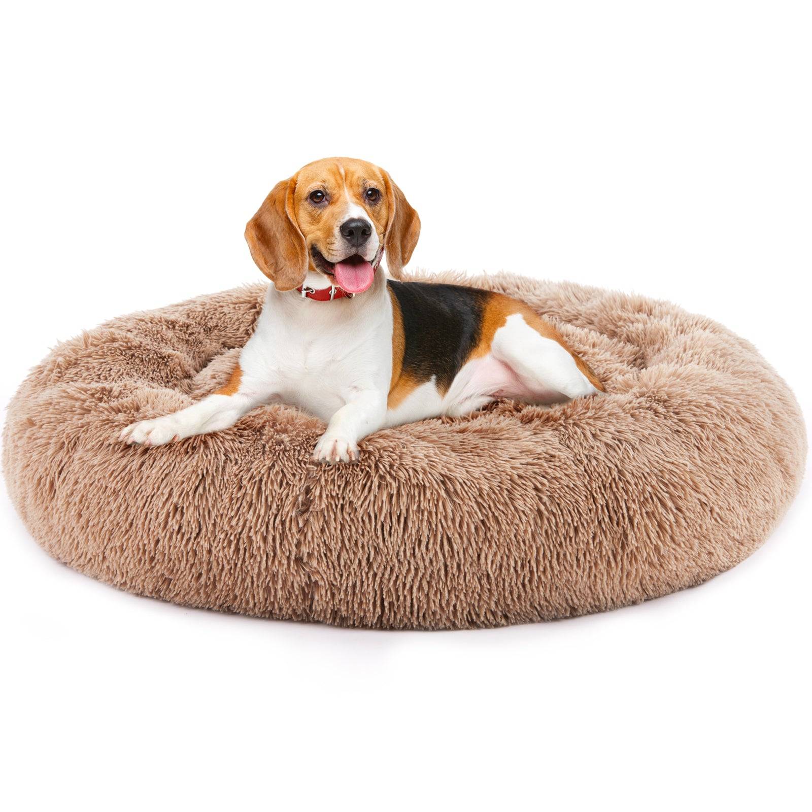 Washable Plush Dog Bed With Non Slip Bottom For All Sizes