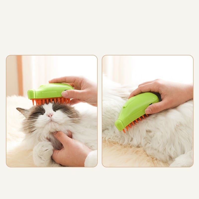 Steam brush for dogs and cats - PMMNAPOLES