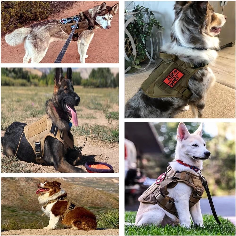 Tactical Dog Harness with Leash 1000D Nylon Camo