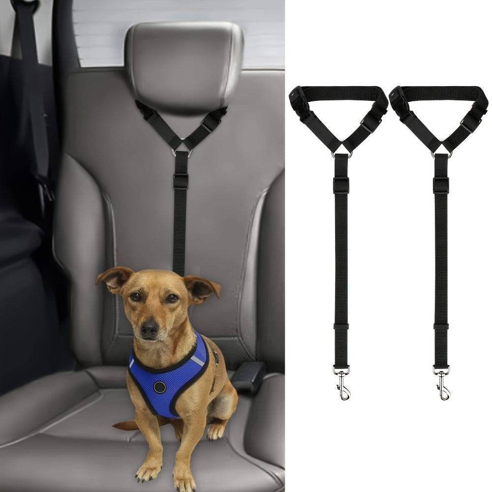 2 Piece Dog Leash Set For Training