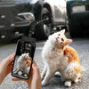 Pet Photography Tool - PMMNAPOLES