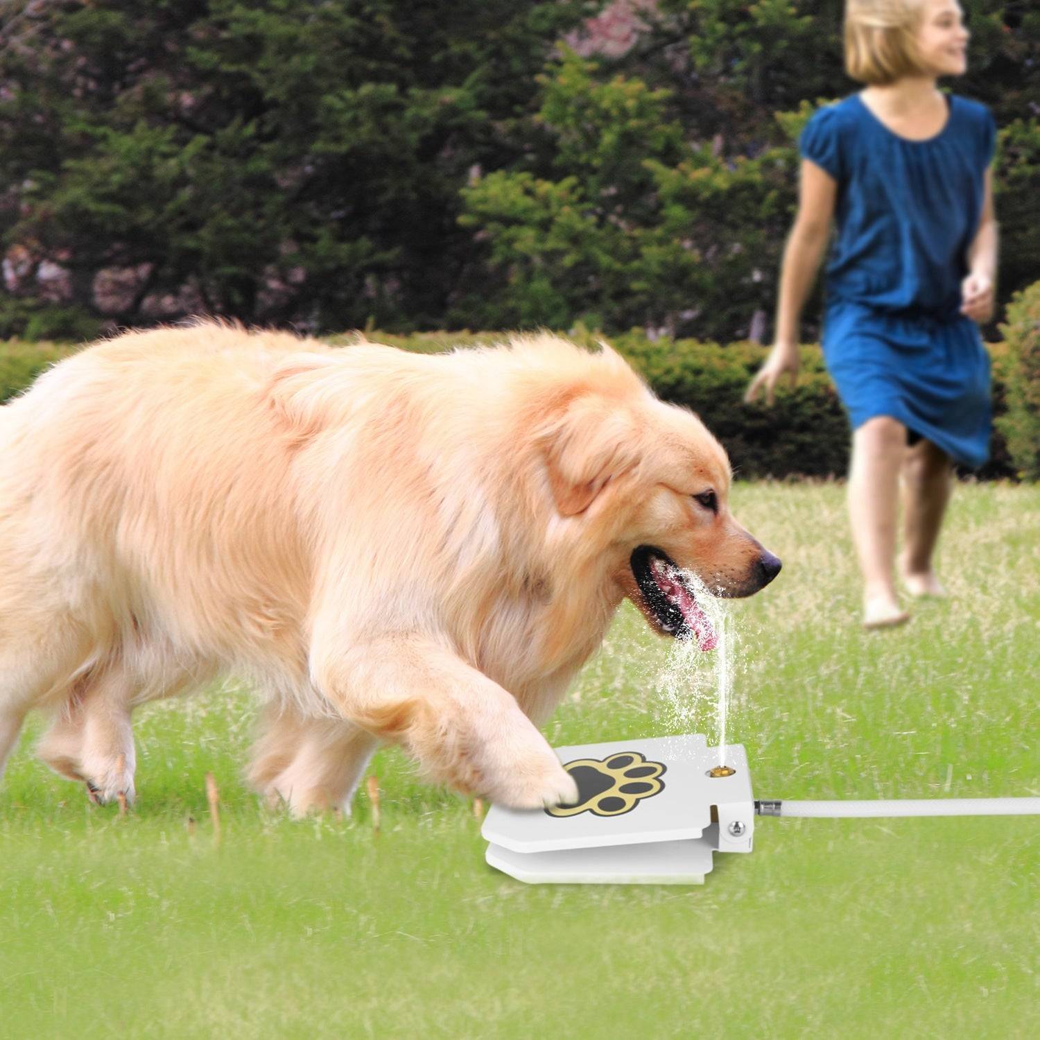 Dog Water Fountain Outdoor Step On Pedal Fresh Flow System