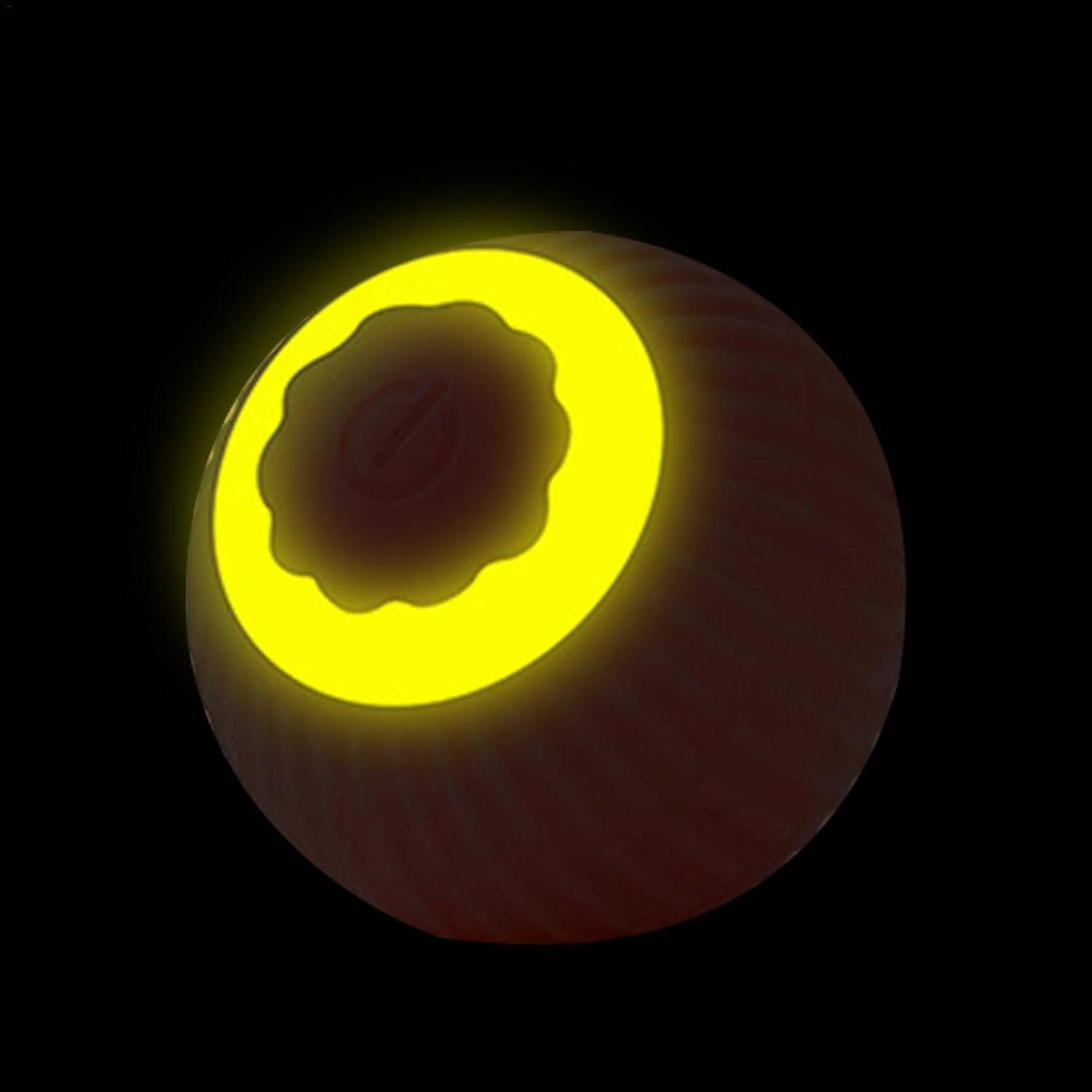 Interactive Electric Cat and Dog Toy Rolling Ball