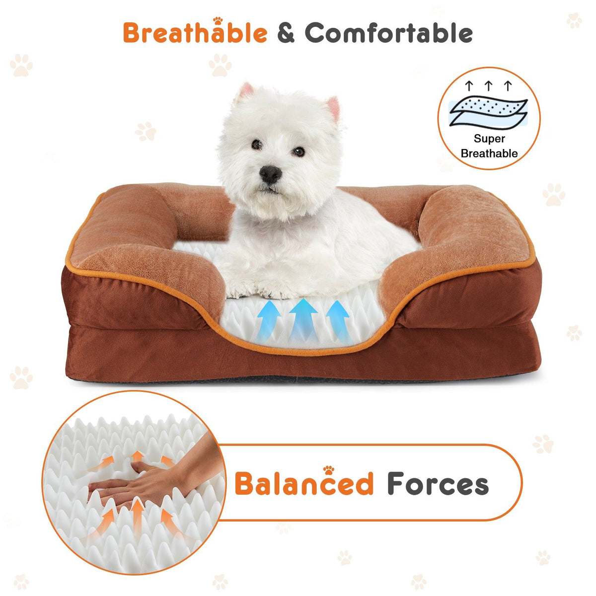 Orthopedic Dog Bed with Memory Foam Support