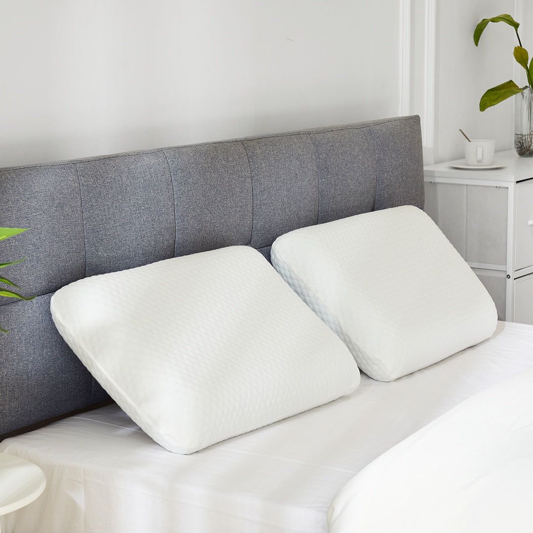 2 Pack Ergonomic Memory Foam Pillows