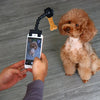 Pet Photography Tool - PMMNAPOLES