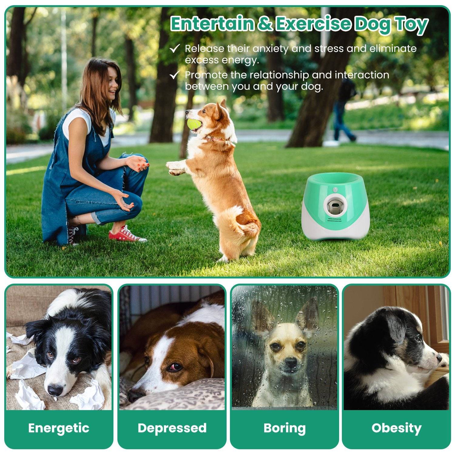 Automatic Dog Ball Launcher with 6 Balls