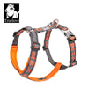 Pet Harness with Chest Strap for Dogs and Cats - PMMNAPOLES