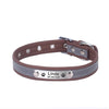 Personalized dog collar - PMMNAPOLES