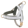 Personalized dog harness - PMMNAPOLES