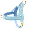 Personalized dog harness - PMMNAPOLES