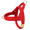 Personalized dog harness - PMMNAPOLES