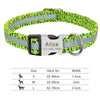 Nylon dog collar - PMMNAPOLES