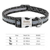 Nylon dog collar - PMMNAPOLES