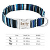 Striped nylon dog collar with size chart