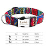 Nylon dog collar - PMMNAPOLES