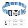 Nylon dog collar - PMMNAPOLES