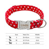 Nylon dog collar - PMMNAPOLES