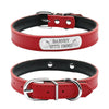 Red leather cat collar with name tag