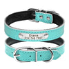 Blue leather cat collar with name tag