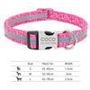 Nylon dog collar - PMMNAPOLES