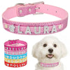 Personalized dog collar - PMMNAPOLES