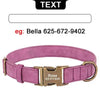 Personalized anti-lost dog collar - PMMNAPOLES