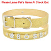 Personalized dog collar - PMMNAPOLES