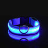 Safety dog collar with LED light - PMMNAPOLES