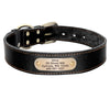 Black leather dog collar with engraved nameplate