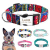 Nylon dog collar - PMMNAPOLES