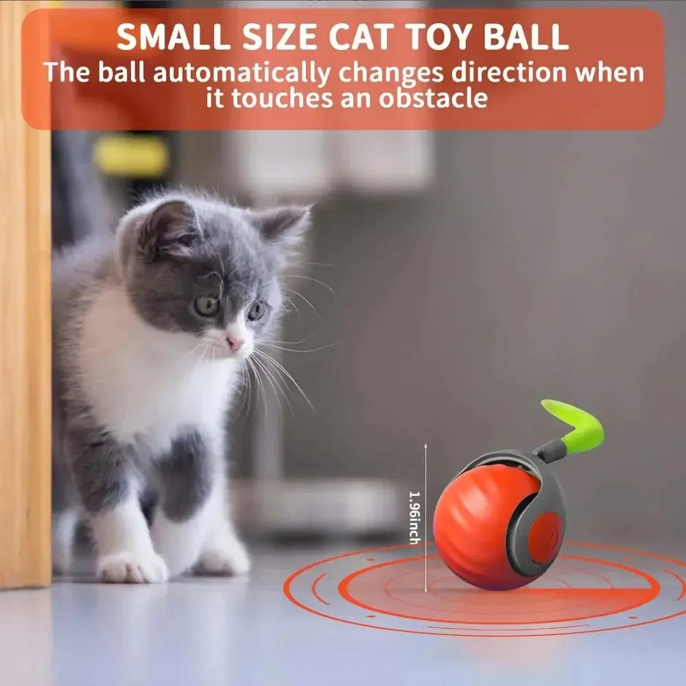 Interactive feather cat ball toy, USB rechargeable smart toy for indoor cats, automatic rolling ball for pet playtime
