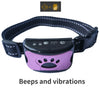 Purple collar with beeps and vibrations