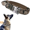 Camouflage tactical dog collar on a dog