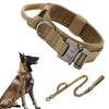 Khaki tactical dog collar and leash set with dog