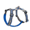 Pet Harness with Chest Strap for Dogs and Cats - PMMNAPOLES