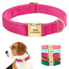 Personalized velvet dog collar - PMMNAPOLES