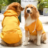 Winter coat for dogs - PMMNAPOLES